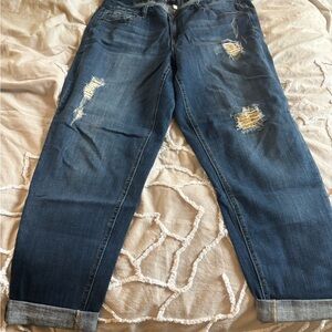 Lane Bryant Classic Blue Denim BoyfriendJeans
